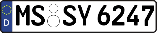 MS-SY6247