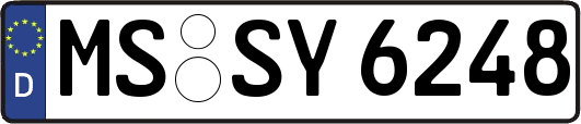 MS-SY6248