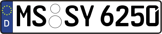 MS-SY6250