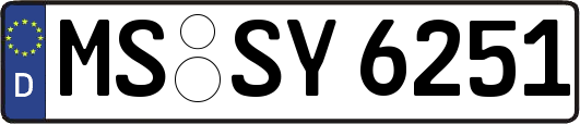 MS-SY6251