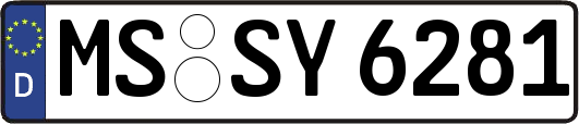 MS-SY6281