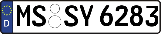 MS-SY6283