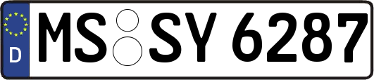 MS-SY6287