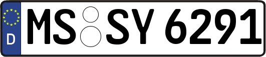 MS-SY6291