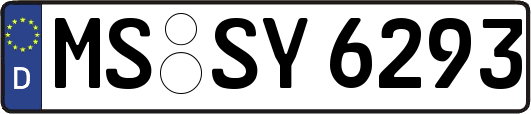 MS-SY6293