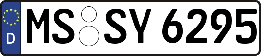 MS-SY6295