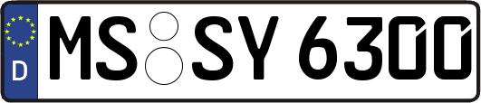 MS-SY6300