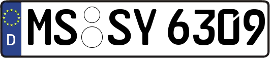 MS-SY6309