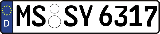 MS-SY6317