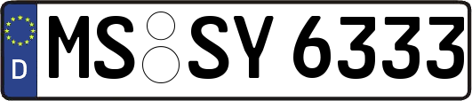 MS-SY6333
