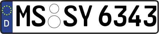 MS-SY6343
