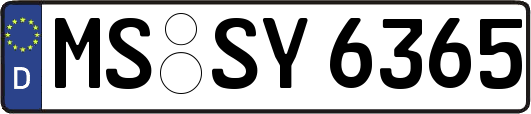 MS-SY6365