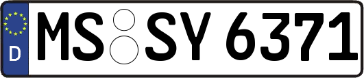 MS-SY6371