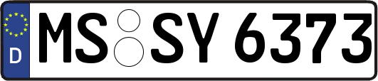MS-SY6373