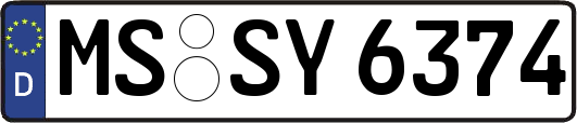 MS-SY6374