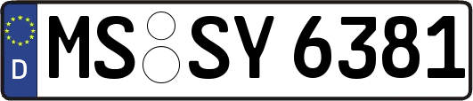 MS-SY6381