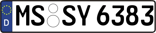MS-SY6383