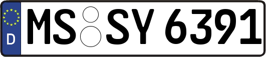 MS-SY6391