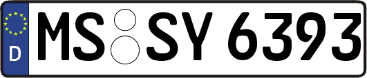 MS-SY6393