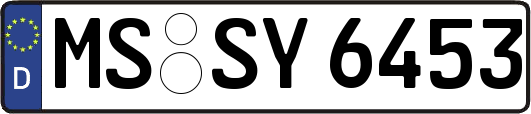 MS-SY6453