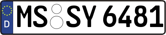 MS-SY6481