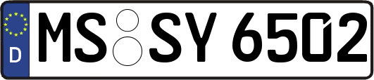 MS-SY6502