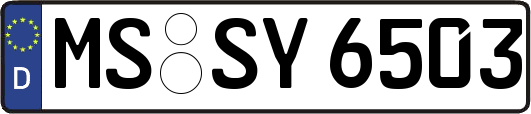 MS-SY6503