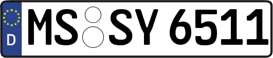 MS-SY6511