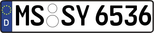 MS-SY6536