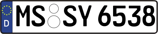 MS-SY6538