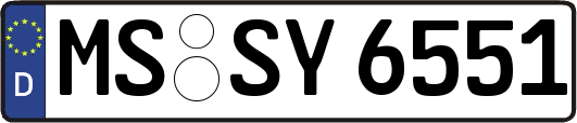 MS-SY6551