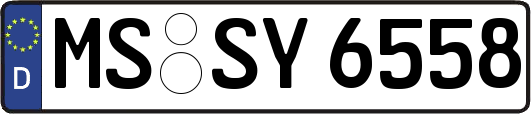MS-SY6558