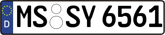 MS-SY6561