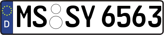 MS-SY6563