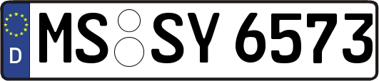 MS-SY6573
