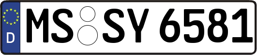 MS-SY6581