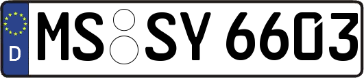 MS-SY6603