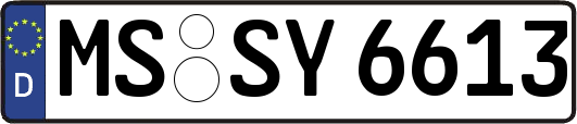 MS-SY6613