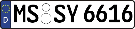 MS-SY6616