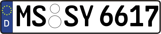 MS-SY6617
