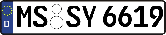 MS-SY6619