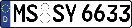MS-SY6633