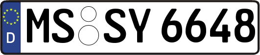 MS-SY6648