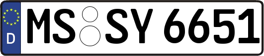 MS-SY6651