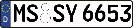 MS-SY6653