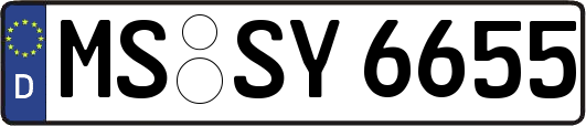 MS-SY6655