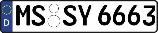 MS-SY6663