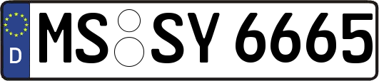 MS-SY6665