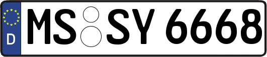 MS-SY6668