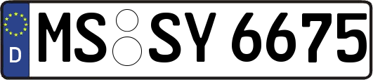 MS-SY6675